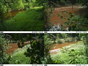 Check out how high and quickly the river came up - dates and time stamps are on the bottom of each photo.